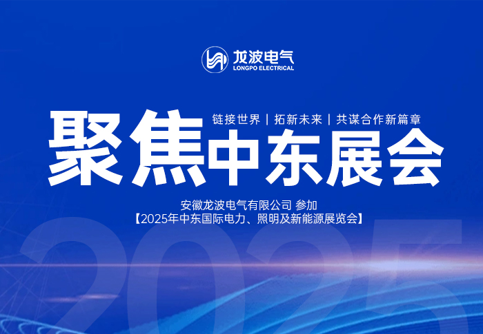 链接世界，拓新未来，共谋合作新篇章 | 安徽龙波电气参加2025中东国际电力展览会