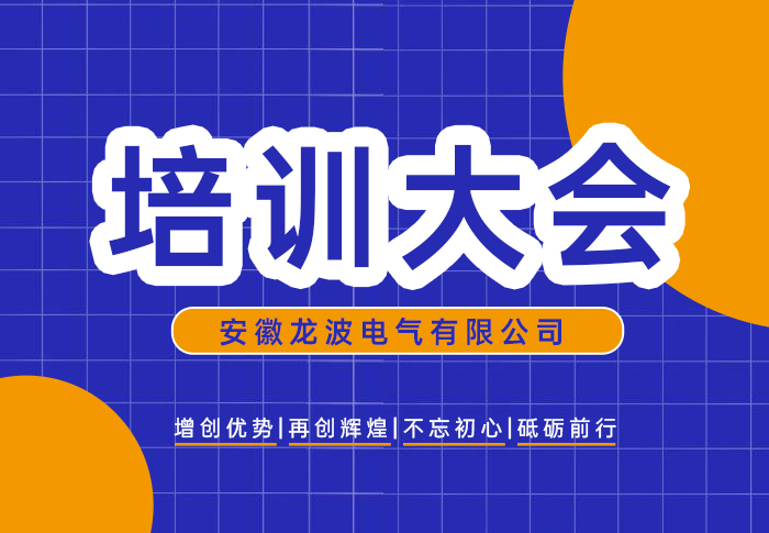 龙波电气2025年度开年培训圆满完成！