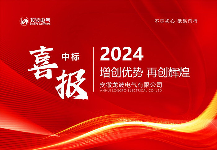 Longpo Electric·2024 January-May 2024 State Grid bid-winning performance summary