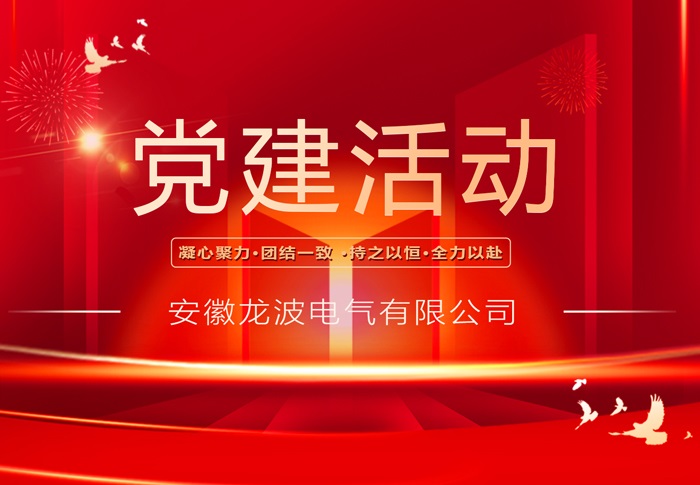 Longpo Electric carried out the party day activity with the theme of 