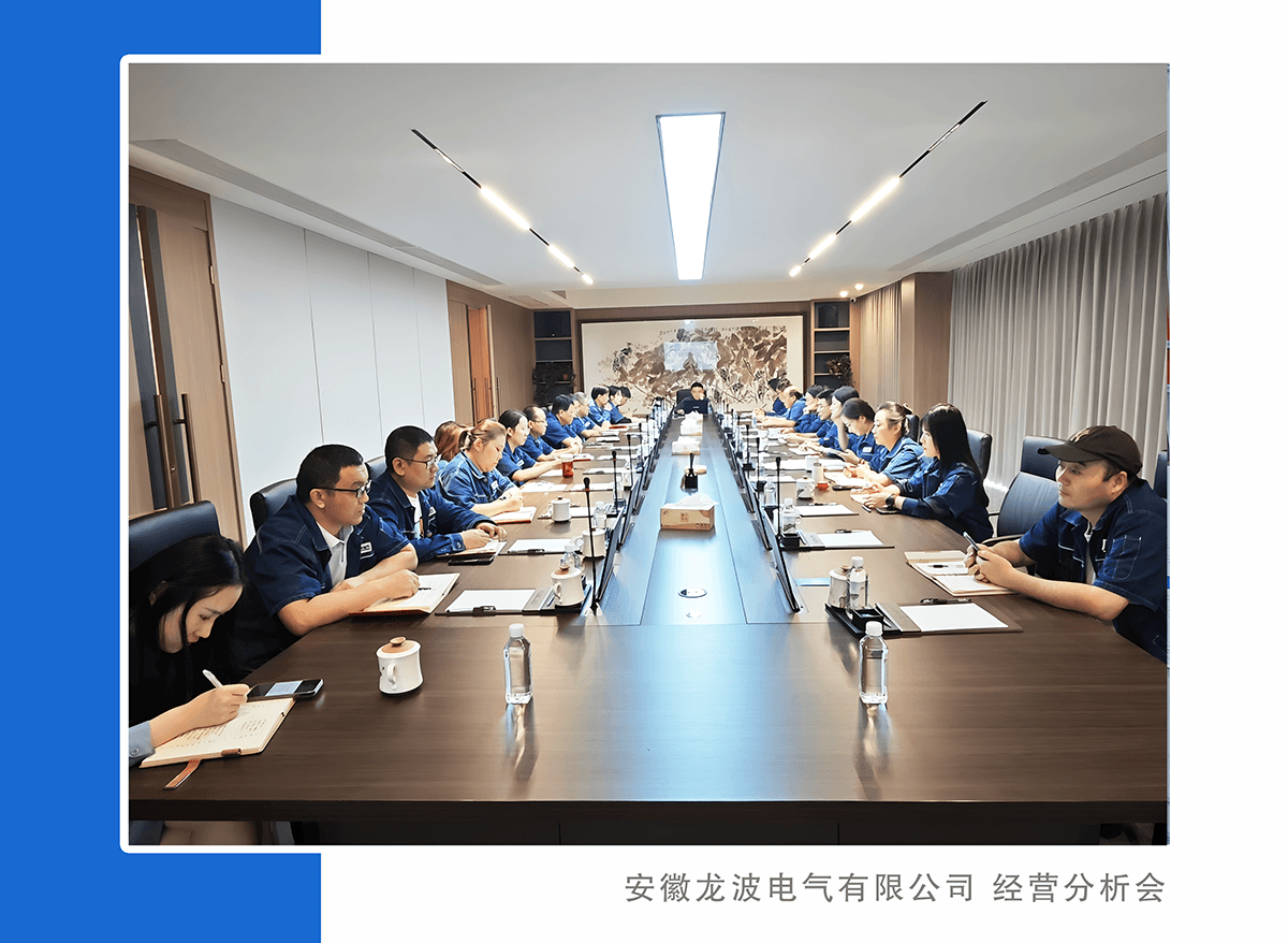龙波电气召开生产经营分析会