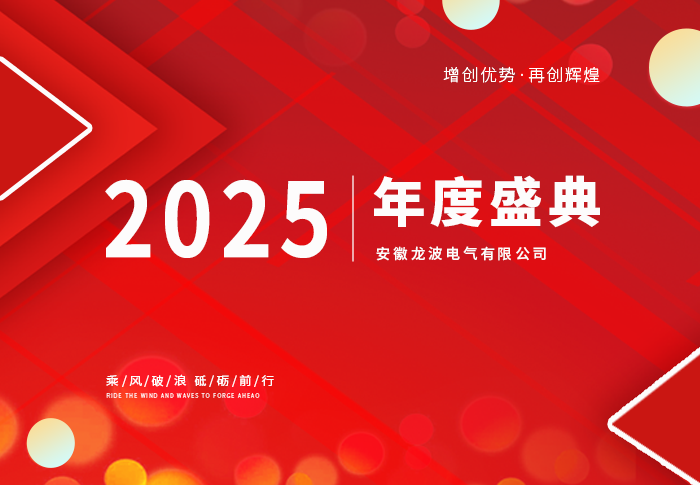 龙波电气2025年度盛典 圆满完成！